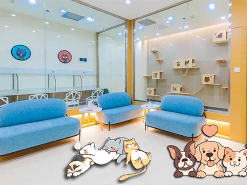 Pet-Friendly Flooring